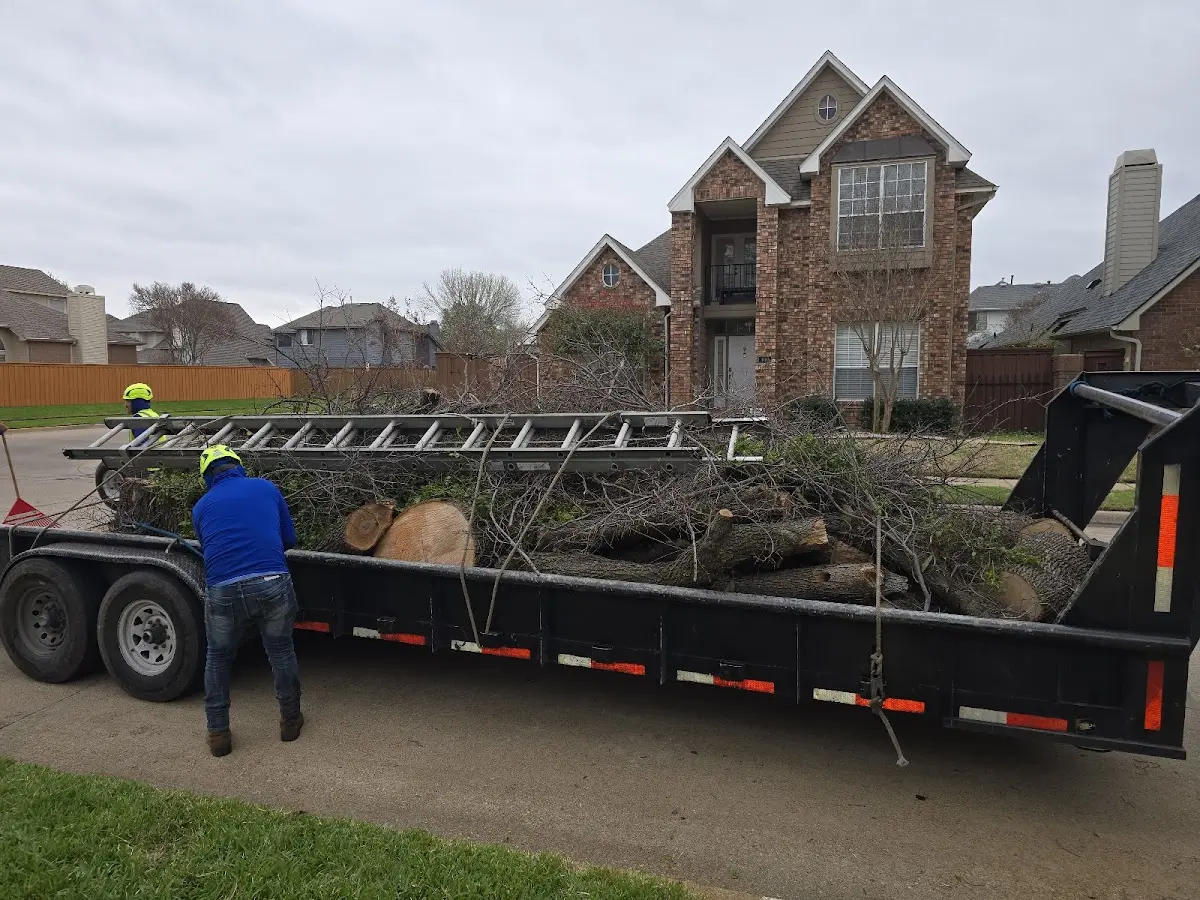 Expert Crown Reduction with proper safety equipment in Salado